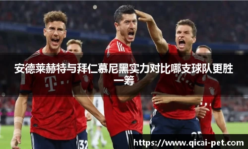 OETY官方网站入口