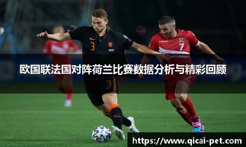 欧国联法国对阵荷兰比赛数据分析与精彩回顾
